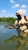 Высококачественное удилище для нахлыстовой ловли Euro Nymphing из карбона, 10'6'' 11'0'', LW2, 4 секции (B02)