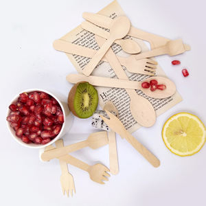 Eco-friendly <strong>Wooden</strong> <strong>Spoons</strong> 160mm <strong>Wooden</strong> Disposable <strong>Spoon</strong> Cutlery <strong>Wooden</strong> <strong>Spoon</strong> for Ice Cream - Product Image 6