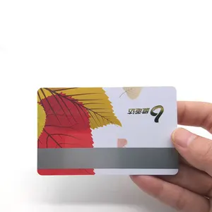 Impressão de cartão de membro de negócios/clube/ginásio/salão de beleza de plástico personalizado com cartão VIP Pass