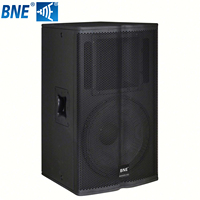 Haut-parleur TX1152 direct usine, enceinte simple 15 pouces en bois, idéal pour DJ, karaoké, mariages, soirées, clubs, conférences, événements et scènes.