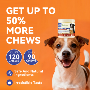 Complément alimentaire multivitaminé pour chiens Beiyuan, complexe B naturel et vitamines A/D, soutient la santé des articulations, du <span class=keywords><strong>cœur</strong></span> et du système immunitaire des chiens âgés - Product Image 2