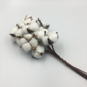 Vente en gros de fleurs séchées à tige unique en <span class=keywords><strong>coton</strong></span> sec pour les décorations de Noël, d'Halloween <span class=keywords><strong>ou</strong></span> de la fête des mères - Product Image 2