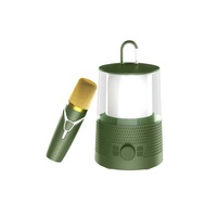 Enceinte Karaoké Portable Rechargeable avec Micro et LED, 10W*2, pour Barbecue en Extérieur, Entrée TF/AUX, Idéale pour Fêtes en Plein Air