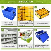 Boîte à fruits et légumes en carton alvéolaire personnalisée, impression UV, pliable, étanche, anti-humidité, emballage pour chaîne du froid, plastique calcium