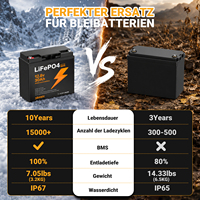 Batterie LiFePO4 12,8 V 30 Ah en stock UE, certifiée CE RoHS, légère (3,2 kg) pour camping-car, camping, bateau, système solaire – Packs de batteries au lithium