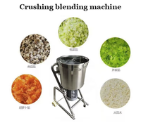 Commerciële Automatische Gember Knoflook Blender Ui Chopper Groente Fruit Crusher Cutter Machine