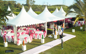 Pagoda de aluminio para exteriores para festival de comida pagoda de pared lateral de vidrio - Product Image 4