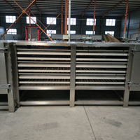 Doorlopende Industriële Elektrische Automatische Tunnel Transportband Droger Schone Droge Machine Voor Knoflook Bosbessen Elektrische Verwarming Gaasband