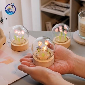 Luz de noche de tulipán Diy decorativa <span class=keywords><strong>para</strong></span> el hogar, Mini lámpara de flores de tulipán de luz de noche de <span class=keywords><strong>bola</strong></span> de cristal de tulipán Led - Product Image 4