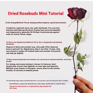 Tappo in Sughero Rialzato <span class=keywords><strong>con</strong></span> Fiore di Rosa Essiccato per Decorazione e Conservazione, Ideale per Accessori Fai-da-te e Sigillatura Bottiglie per San Valentino - Product Image 4