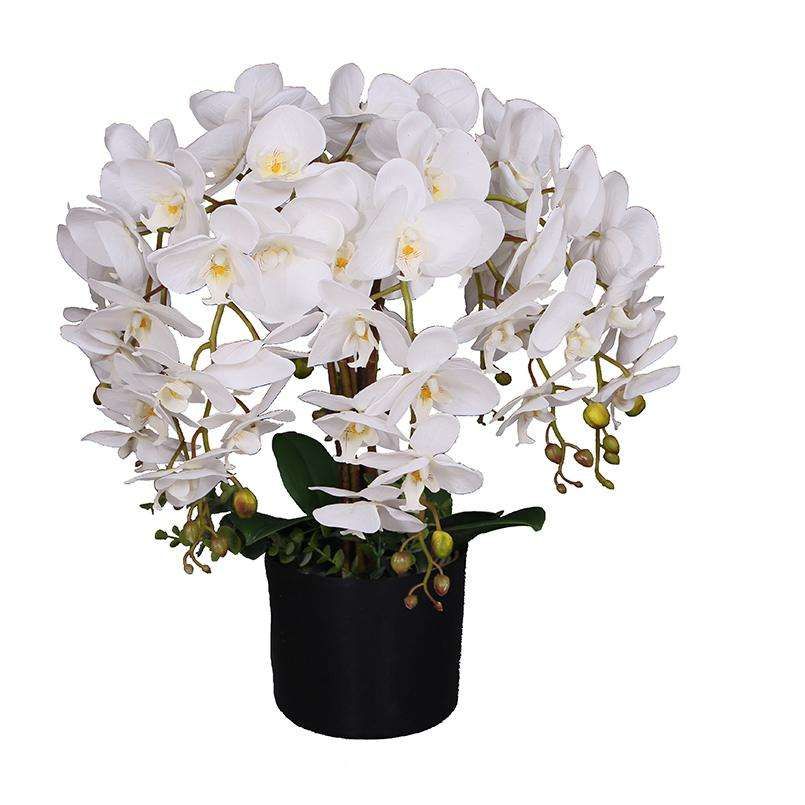 สีที่กำหนดเอง