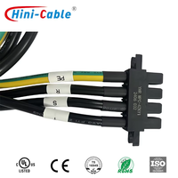 Module d'alimentation personnalisé pour chargeur EV 20kW 30kW, faisceau de câblage de commande arrière, assemblage de câbles internes