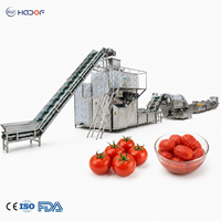 Industriële automatische stoomschilmachine voor aardappelen, wortelen en tomaten