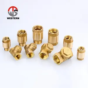 Pn16 Sanitary 1 Way In Line Forged Non Return Vertical Brass Spring 1 4 Inch Check Valve Price