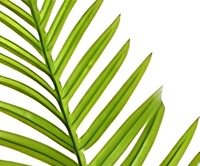 Plante artificielle Cycas Sago Palmier en pot, Arbre tropical vert pour la décoration intérieure de la maison, du bureau, de l'hôtel, du centre commercial, Vente en gros usine
