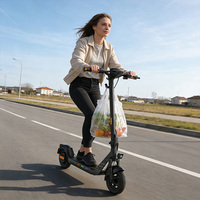 Trottinette électrique adulte N14 KSE, pneus de 10 pouces, 500 W, 35 km/h, éclairage personnalisable, corps en aluminium, trottinette électrique stable, pliable pour adultes