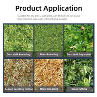 Coupeur d'herbe à moteur diesel pour l'alimentation animale Coupeur d'herbe pour l'alimentation du bétail Coupeur de paille pour bétail Pièces de rechange