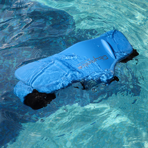 Best Quality Top Sales NEW Citymate 600W Diving Sea Scooter Dual Speed Propeller Electric Underwater Monocular 6.5km/h 5200mAh - Product Image 1