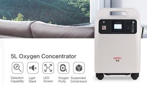 Chất Lượng Cao Derry 10L Bệnh Viện Thiết Bị Phẫu Thuật Xách Tay Oxy Bộ Tập Trung Máy Y Tế Cấp Cho Động Vật - Product Image 4