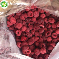 Frambuesas Congeladas XMSD LQF con Empaque a Granel, Soluciones OEM y de Marca Privada para Importadores y Marcas de Alimentos
