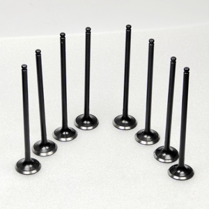 BD30 ed30 td27 TD42 van xả động cơ cho phụ tùng xe hơi Nhật Bản 13201-43g01 van nạp 13202-g2403 van xả - Product Image 6