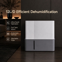 Déshumidificateur intelligent 12L/jour à haute efficacité avec affichage de l'humidité en temps réel, pompe et tuyau de drainage