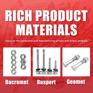 Grillete <span class=keywords><strong>D</strong></span> de alta resistencia, grillete de aparejo 431, juego de remaches para manguera de acero inoxidable, tuercas en t de acero inoxidable - Product Image 3