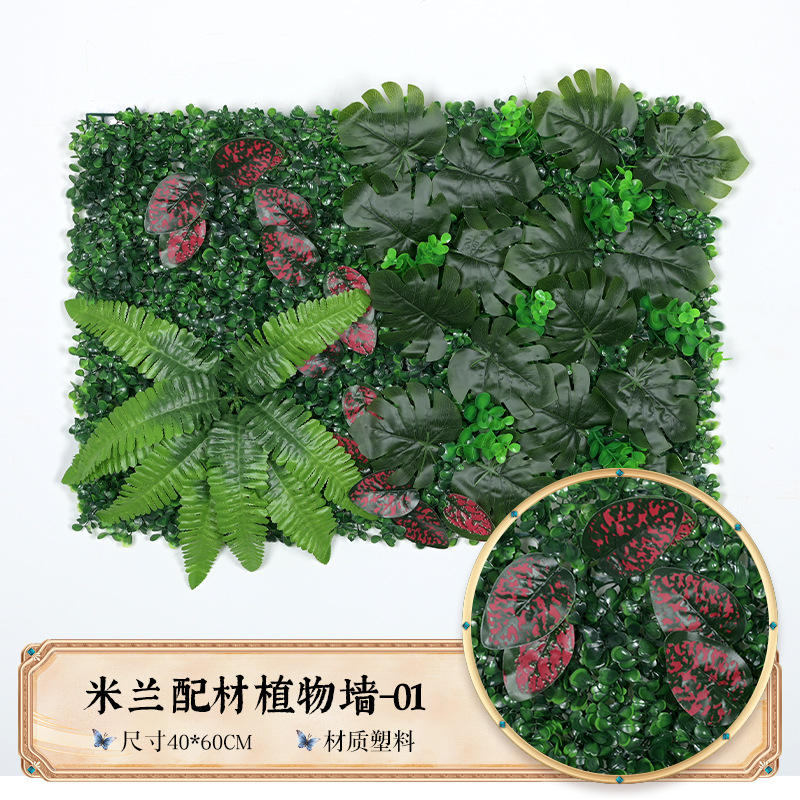 White flower eucalyptus