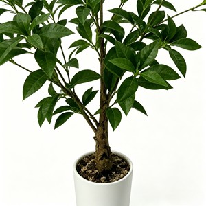 Árbol Artificial de Alta Gama Ma Zui Mu para Sala de Estar - Product Image 6