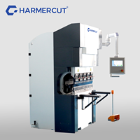 Mini presse plieuse électrique entièrement automatique EP30T-1250 CNC pour machine à cintrer les tôles