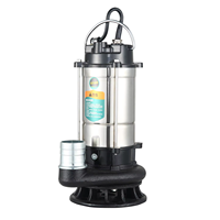 Pompe submersible QDX en acier inoxydable à prix avantageux, 1,1 kW, 220 V, pompe à eau électrique pour usage domestique