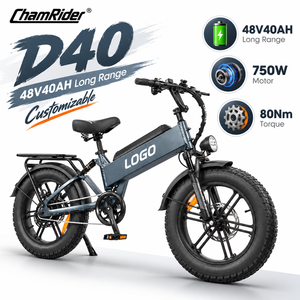 Vélo de livraison électrique D40 750W 48V40AH avec écran 3,8 pouces, contrôle de la lumière PAS, usine OEM - Product Image 1