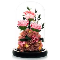 Nouvelles idées de produits 2024 Forever Préservé Roses Dome Valentine Day Merci Anniversaire Anniversaire pour les femmes Femme Petite amie cadeau article