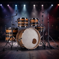 Supports de batterie acoustique 5 pièces de haute qualité, construction métal-bois, couleur personnalisée, support OEM, instrument de percussion pour