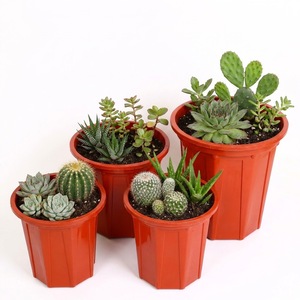 Pot de culture en plastique rouge robuste de forme octogonale avec nervures renforcées pour la propagation des plantes en pépinière et en serre, taille moyenne - Product Image 1