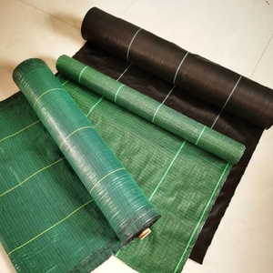 Barrier Weed Plastic Weed Mat Garden Ground Cover Fabric/weed Barrier Mat/plastic Pp Anti Weed Agro Weed Control Mat