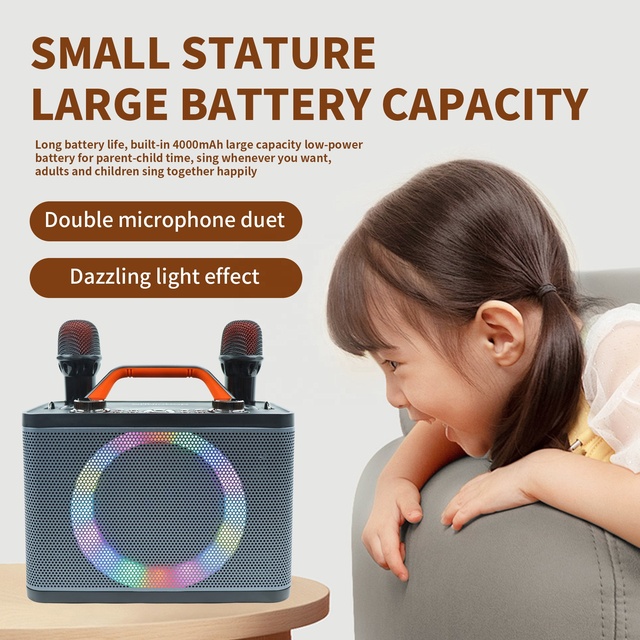 Professional 20W Mini Karaoke Machine With 2 Wireless Microphones Bt 5.4 Speaker for Kids Home Party OEM ODM Factory Price