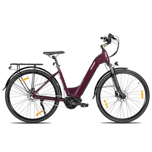 JOTKIE <span class=keywords><strong>LAMASSU</strong></span> 700 * 40C 2025 Neues Modell Anpassbare hydraulische Scheiben bremse direkt vom chinesischen elektrischen Mountainbike - Product Image 3