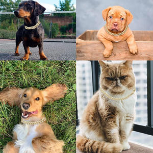 Luxuriöses Taktisches 15mm Diamant Gold Silber Hundehalsband Massive Metall-Kubanische Gliederkette mit Legierungs-Schmuckzubehör - Product Image 6