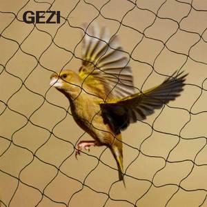 Chống chim Mist Net chống chim lưới lồng bẫy vô hình SS Trap antti bẫy nhiệm vụ nặng nề <span class=keywords><strong>3</strong></span>*8 45mm 10mm 100*50 Đen <span class=keywords><strong>3</strong></span>/4'' - Product Image 6