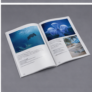 Impression <span class=keywords><strong>de</strong></span> brochures d'entreprise à reliure piquée, usine OEM, personnalisation sur mesure - Product Image 2