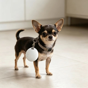 Localizador de Mascotas para Perros y Gatos, Sistema Dual, Compatible con Apple Find My y Google Find Hub, Etiqueta Inteligente Bluetooth Antipérdida, 4 Colores - Product Image 1