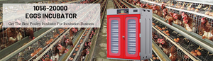 WONEGG Nouvelle tendance Incubateur industriel entièrement automatique <span class=keywords><strong>moins</strong></span> <span class=keywords><strong>cher</strong></span> 728 œufs Machine d'éclosion 500 œufs - Product Image 6