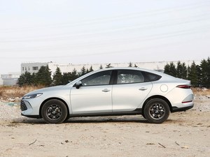 Acceptons les commandes personnalisées – BYD Qin Plus DM-i 2025, édition Advance PHEV berline 128 km, 2,69 l/100 km, 120 kW, 210 Nm, batterie 7,68 kWh – Vente directe usine - Product Image 2