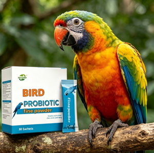 Poudre probiotique pour oiseaux en gros, 30 sachets, pour la santé digestive et le soutien immunitaire, toutes races - Product Image 4