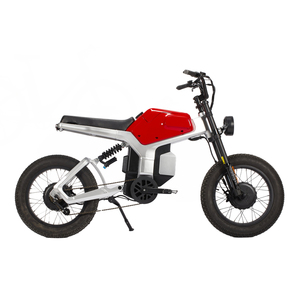 Bicicleta Eléctrica Eahora Romeo Pro 60v 40ah con Motor Personalizado, Bicicleta Eléctrica Híbrida <span class=keywords><strong>Grande</strong></span>, Bicicleta Eléctrica de Largo Alcance para Acampar al Aire Libre - Product Image 2