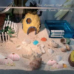 Set <span class=keywords><strong>di</strong></span> stelle marine e ricci <span class=keywords><strong>di</strong></span> <span class=keywords><strong>mare</strong></span>, 12 pezzi gusci <span class=keywords><strong>di</strong></span> ricci <span class=keywords><strong>di</strong></span> <span class=keywords><strong>mare</strong></span> da 1.3 1.9 pollici per piante aeree - Product Image 4