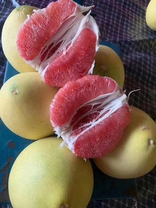 Nouvelle <span class=keywords><strong>Saison</strong></span> Pamplemousse Frais et Délicieux Sinofarm <span class=keywords><strong>Chinois</strong></span>, Pomelo Rouge Doré Juteux, Fournisseur - Product Image 3