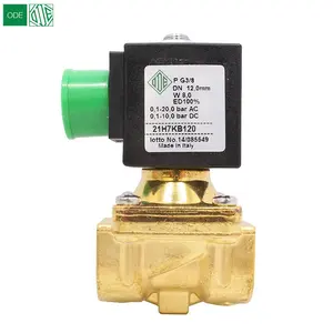 Wholesale Italy ODE 3/8" 21H7KB120 DC24V Solenoid valve 2/2 way normal closed With pilot control for water