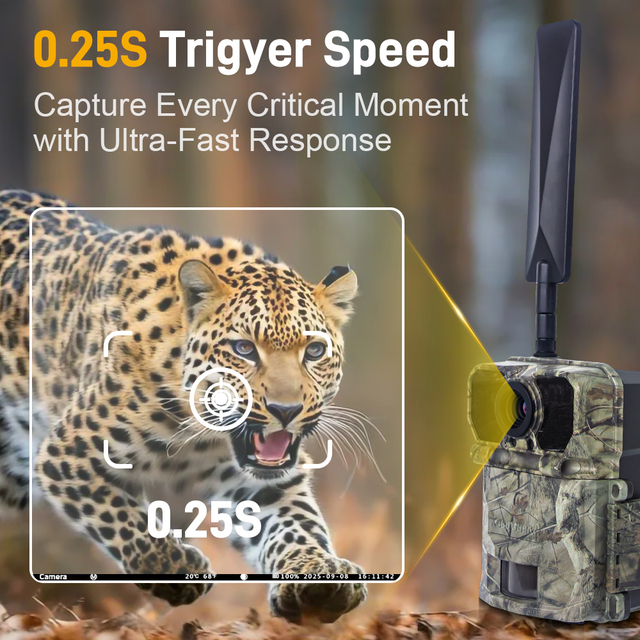 4G TRAIL CAMERA 23 YEARS EXPERIENCE OEM&ODM ONE STOP SOLUTION 30MP 1080P LTE OUTDOOR HUNTING CAMERA